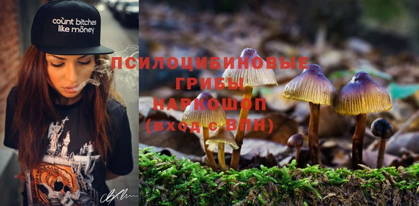мескалин Каменка
