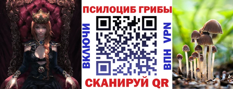 Псилоцибиновые грибы мицелий  Купить закладки  Полярный 