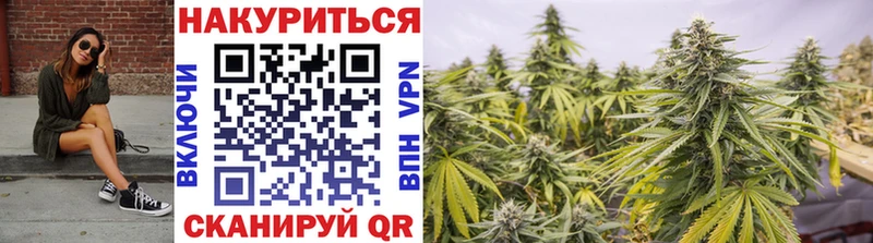 Купить  Полярный  Канабис AK-47 